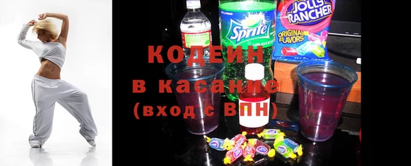 крисы Козельск