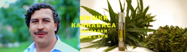 PSILOCYBIN Киреевск