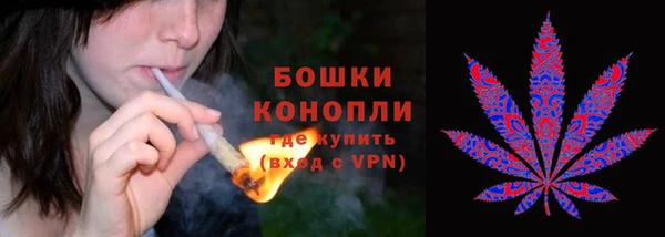 PSILOCYBIN Киреевск