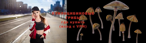 мескалин Кинешма