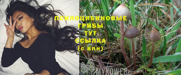 PSILOCYBIN Киреевск