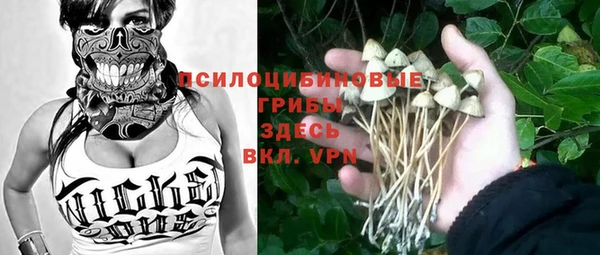 PSILOCYBIN Киреевск