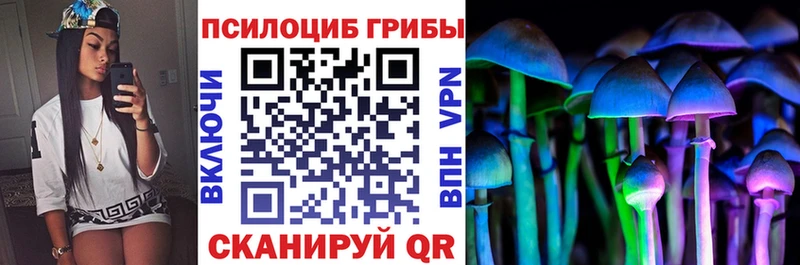 Галлюциногенные грибы GOLDEN TEACHER  Купить  Аркадак 
